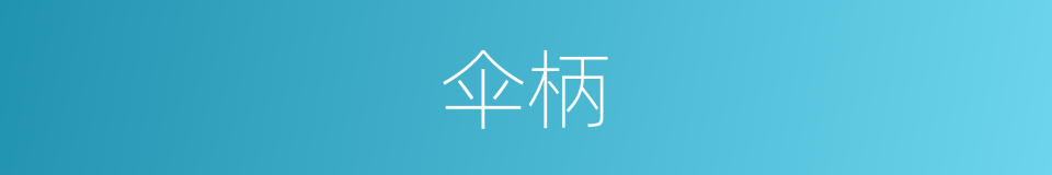 伞柄的意思