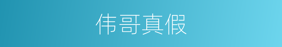 伟哥真假的同义词