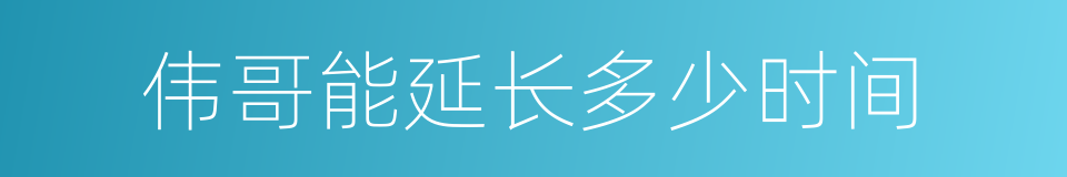 伟哥能延长多少时间的同义词