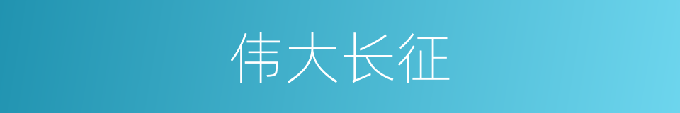 伟大长征的同义词