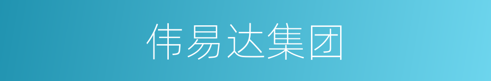 伟易达集团的同义词
