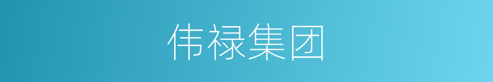 伟禄集团的意思