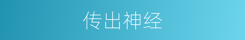 传出神经的意思
