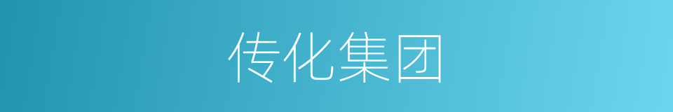传化集团的同义词