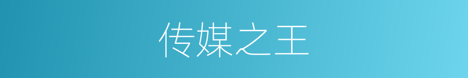 传媒之王的同义词