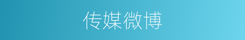 传媒微博的同义词