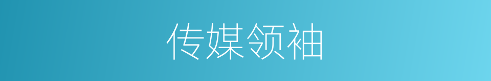 传媒领袖的同义词