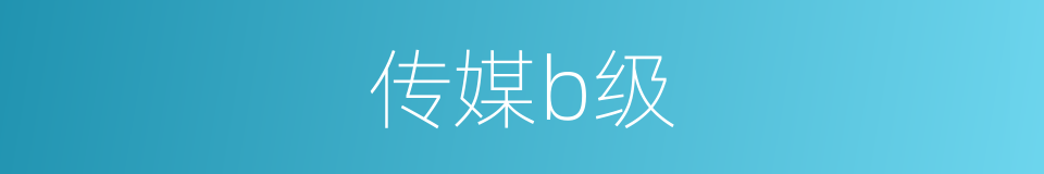 传媒b级的同义词