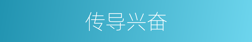 传导兴奋的同义词