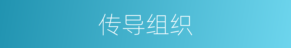传导组织的同义词