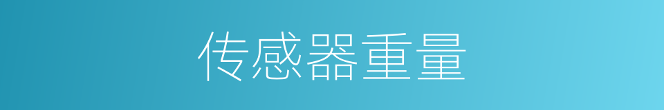 传感器重量的同义词