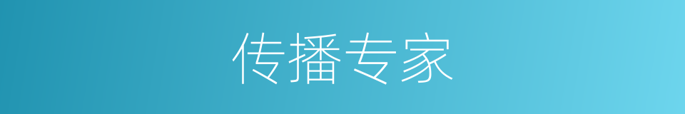 传播专家的同义词