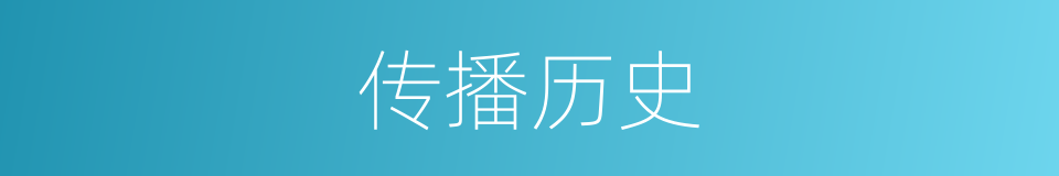 传播历史的同义词