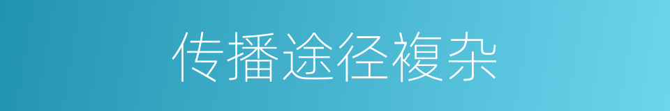 传播途径複杂的同义词