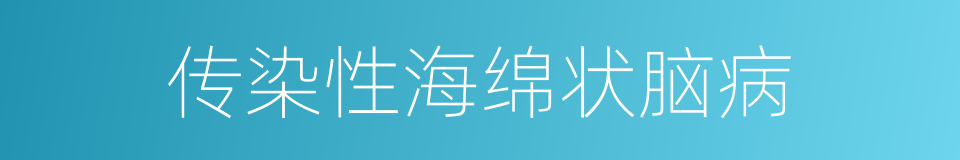 传染性海绵状脑病的同义词