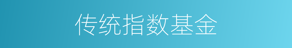 传统指数基金的同义词
