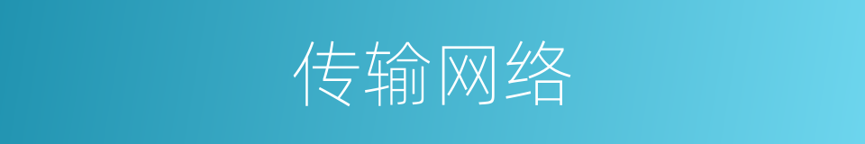 传输网络的同义词