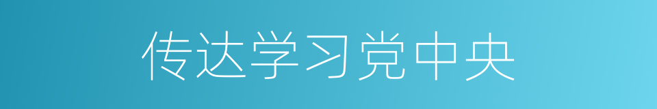 传达学习党中央的同义词