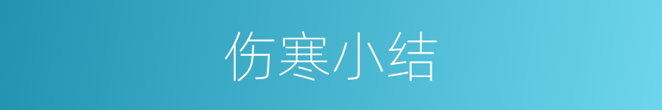 伤寒小结的同义词
