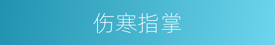 伤寒指掌的同义词