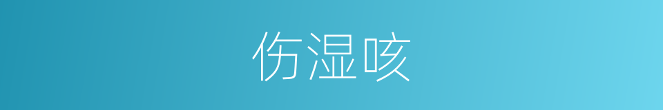 伤湿咳的意思