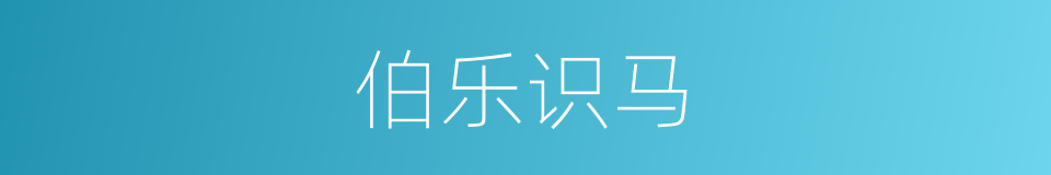 伯乐识马的意思