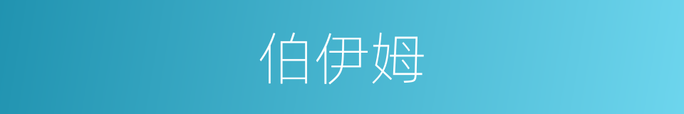 伯伊姆的同义词