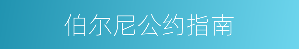 伯尔尼公约指南的同义词