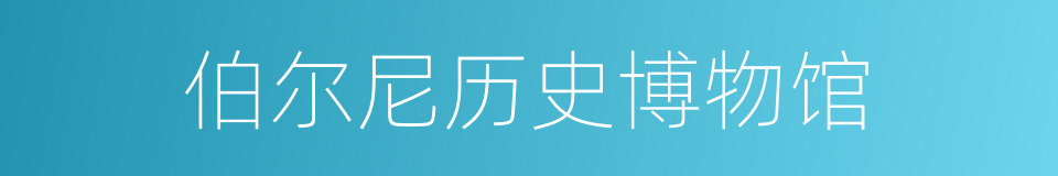 伯尔尼历史博物馆的同义词