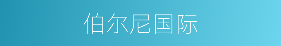 伯尔尼国际的同义词