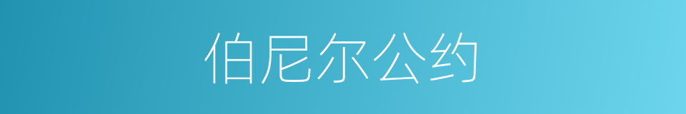 伯尼尔公约的同义词