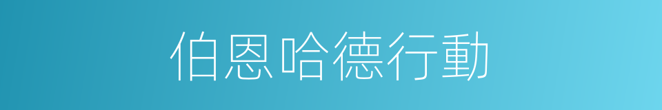 伯恩哈德行動的同義詞