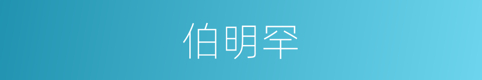 伯明罕的同义词