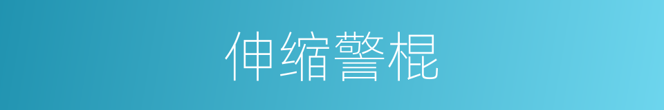伸缩警棍的同义词