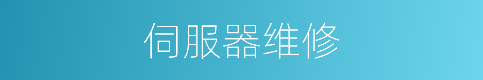 伺服器维修的同义词