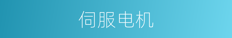 伺服电机的同义词