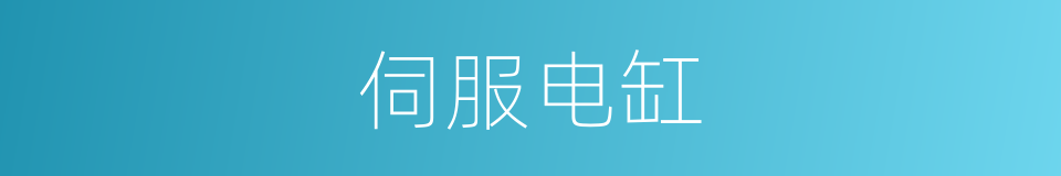 伺服电缸的同义词