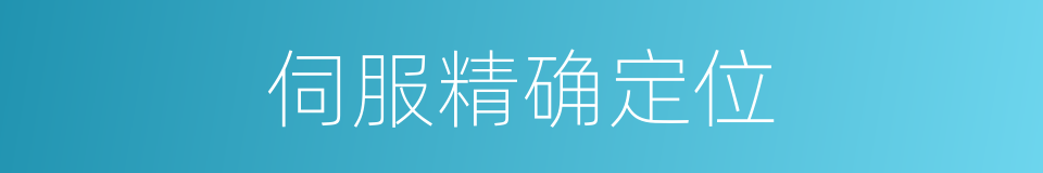 伺服精确定位的同义词