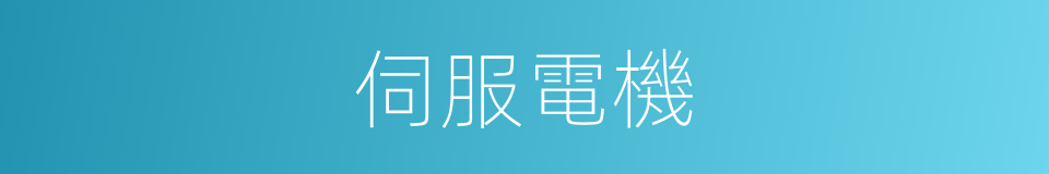 伺服電機的同義詞