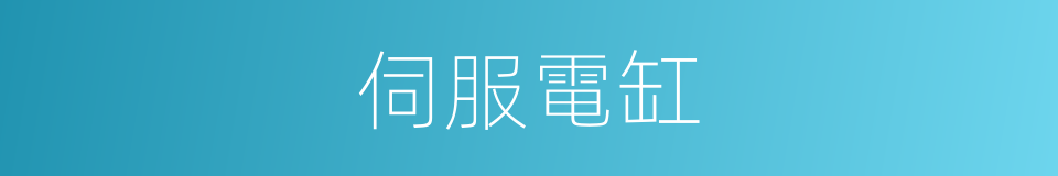 伺服電缸的同義詞