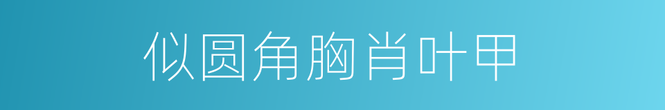 似圆角胸肖叶甲的同义词