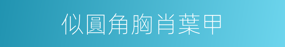 似圓角胸肖葉甲的同義詞