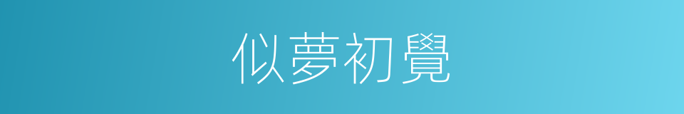 似夢初覺的意思