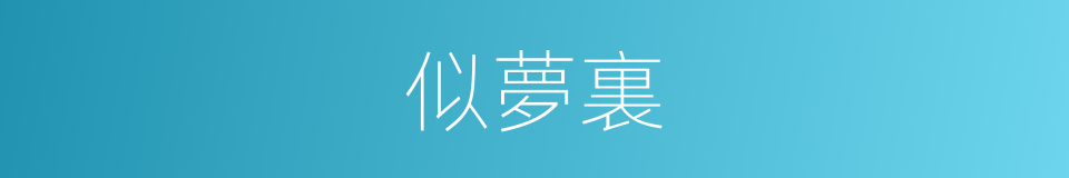 似夢裏的同義詞