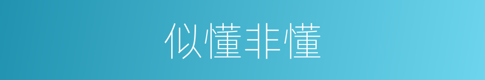 似懂非懂的意思