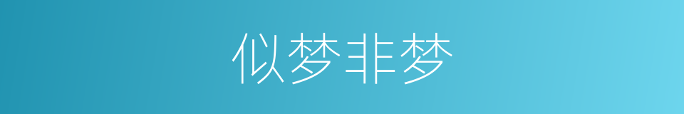 似梦非梦的同义词