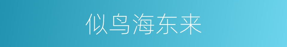 似鸟海东来的同义词