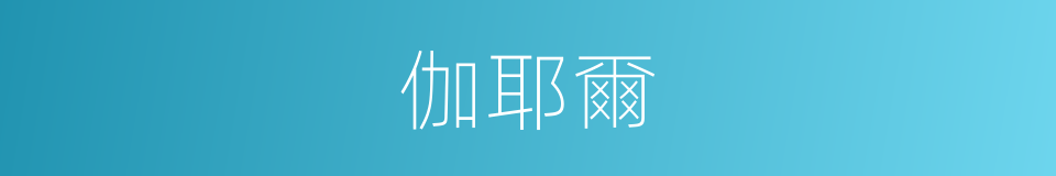 伽耶爾的同義詞