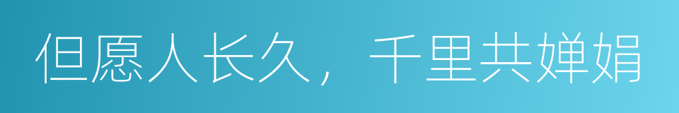 但愿人长久，千里共婵娟的同义词