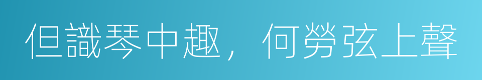 但識琴中趣，何勞弦上聲的同義詞